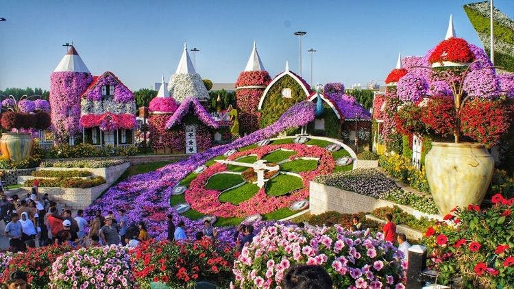 Парк цветов в Дубае (Miracle Garden)